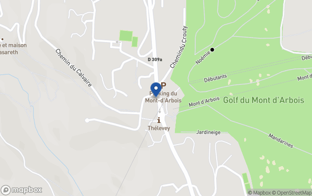 agence immobili&egrave;re du mont d arbois